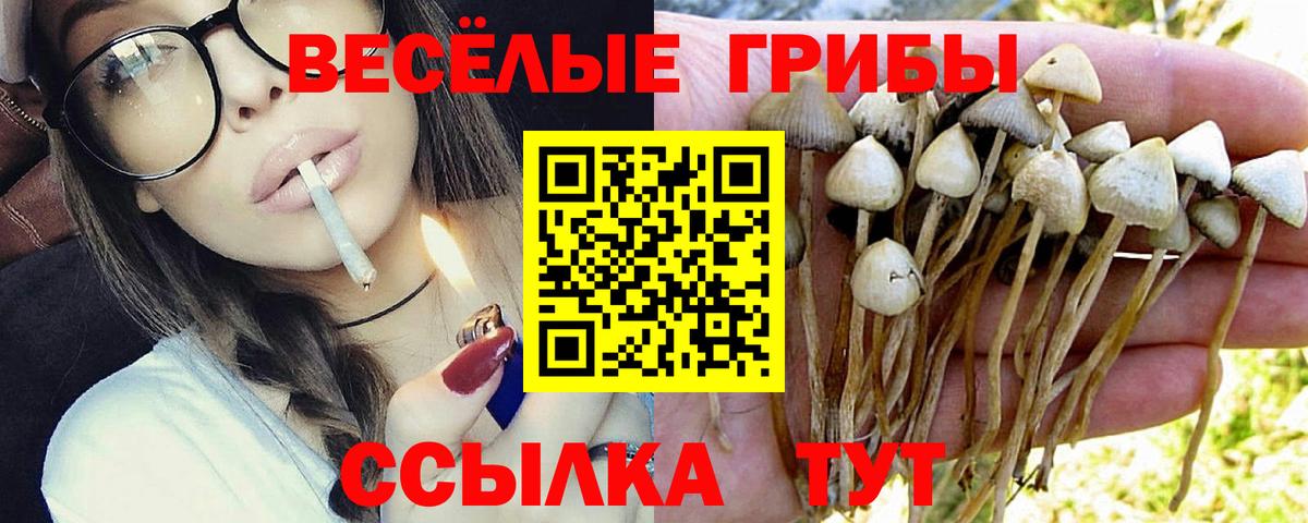 Кунгур  Галлюциногенные грибы Magic Shrooms  Галлюциногенные грибы MAGIC MUSHROOMS  Вход с VPN 